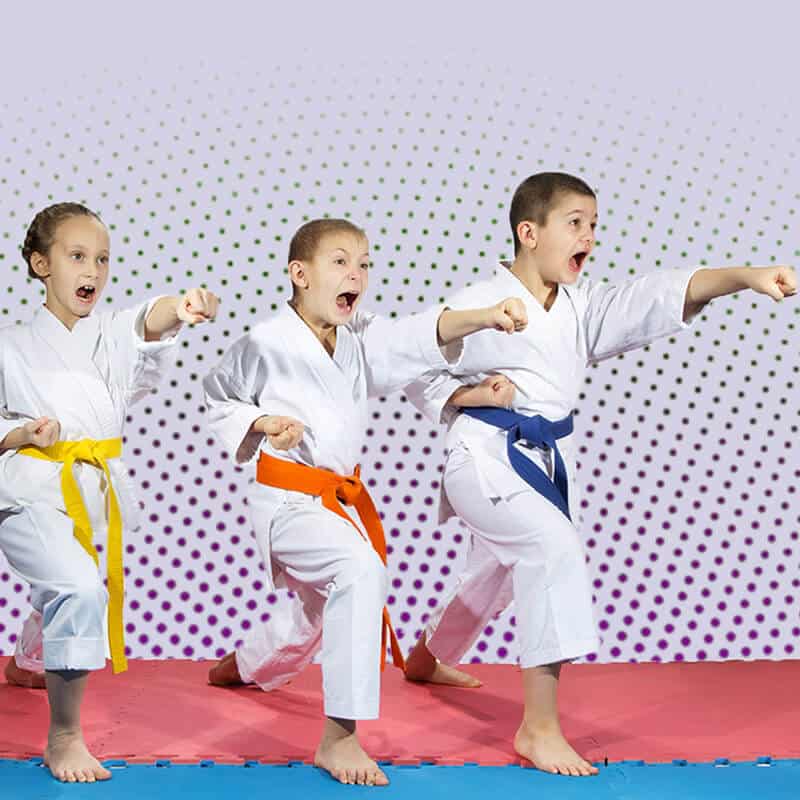 Martial Arts Lessons for Kids in Chesapeake VA - Punching Focus Kids Sync